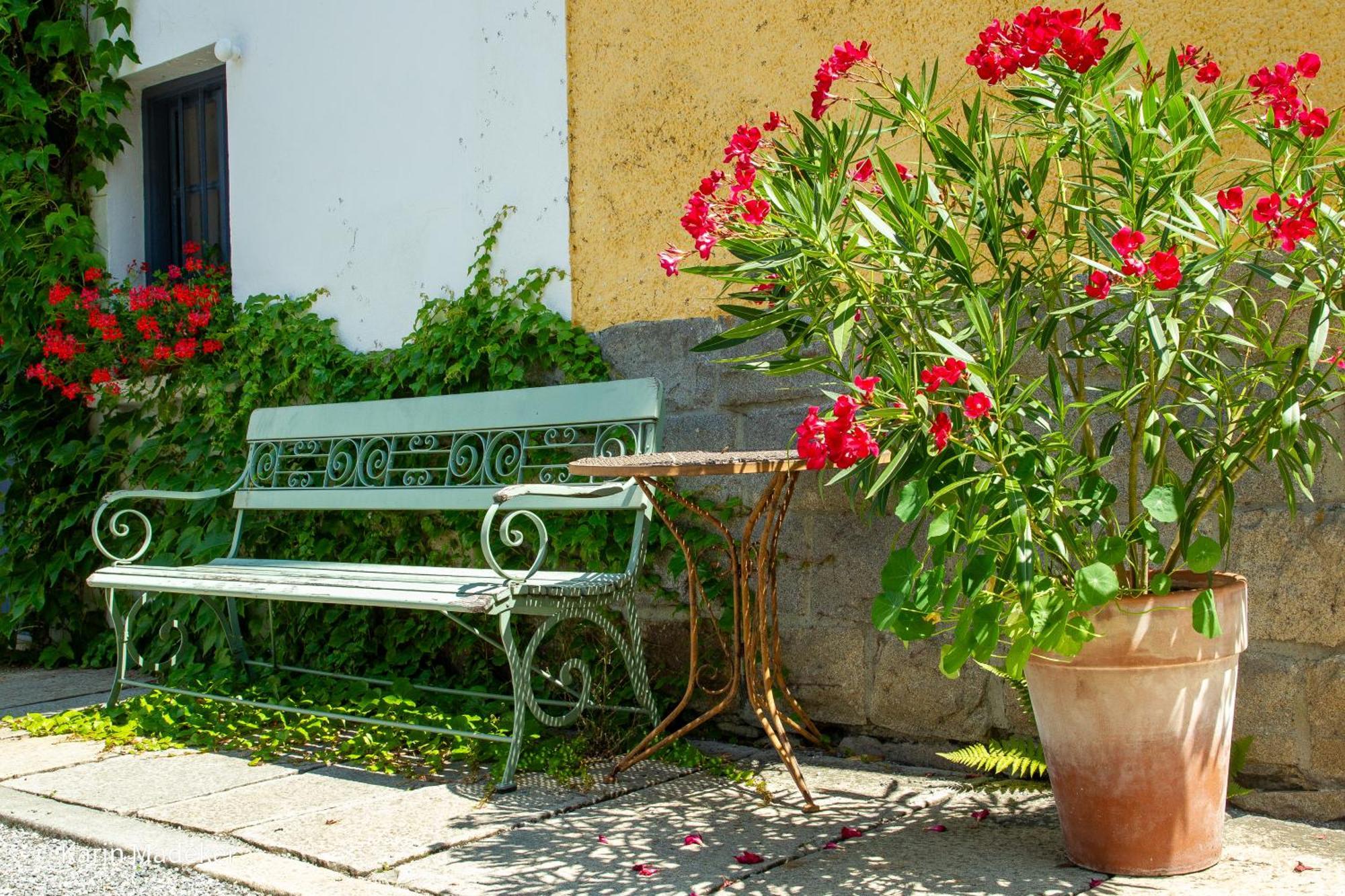 Design Ferienwohnung Mit Bauerngarten Waldkirchen Kültér fotó
