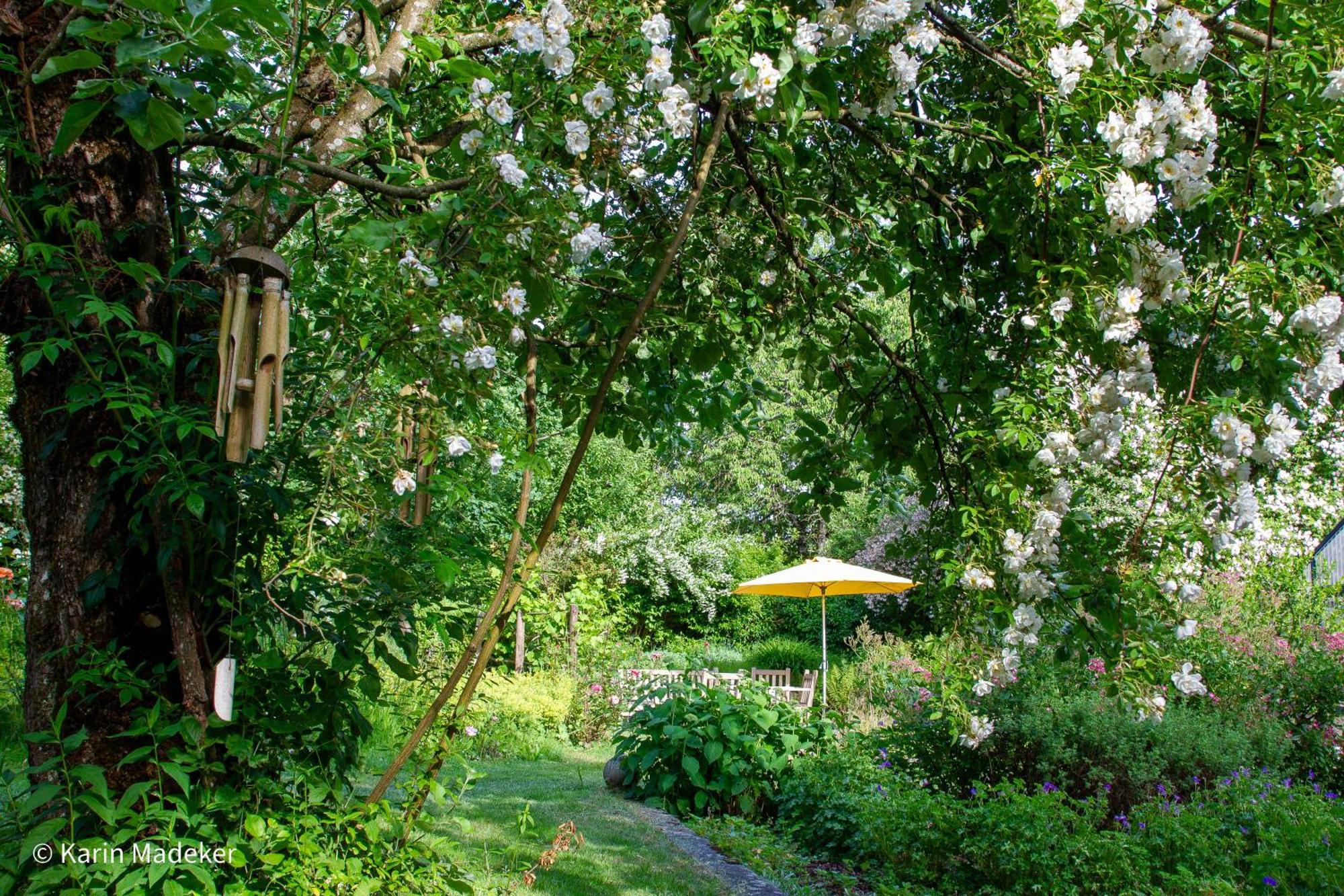 Design Ferienwohnung Mit Bauerngarten Waldkirchen Kültér fotó