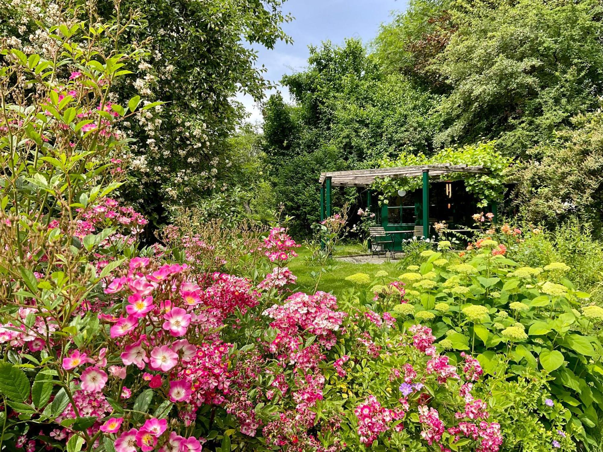 Design Ferienwohnung Mit Bauerngarten Waldkirchen Kültér fotó